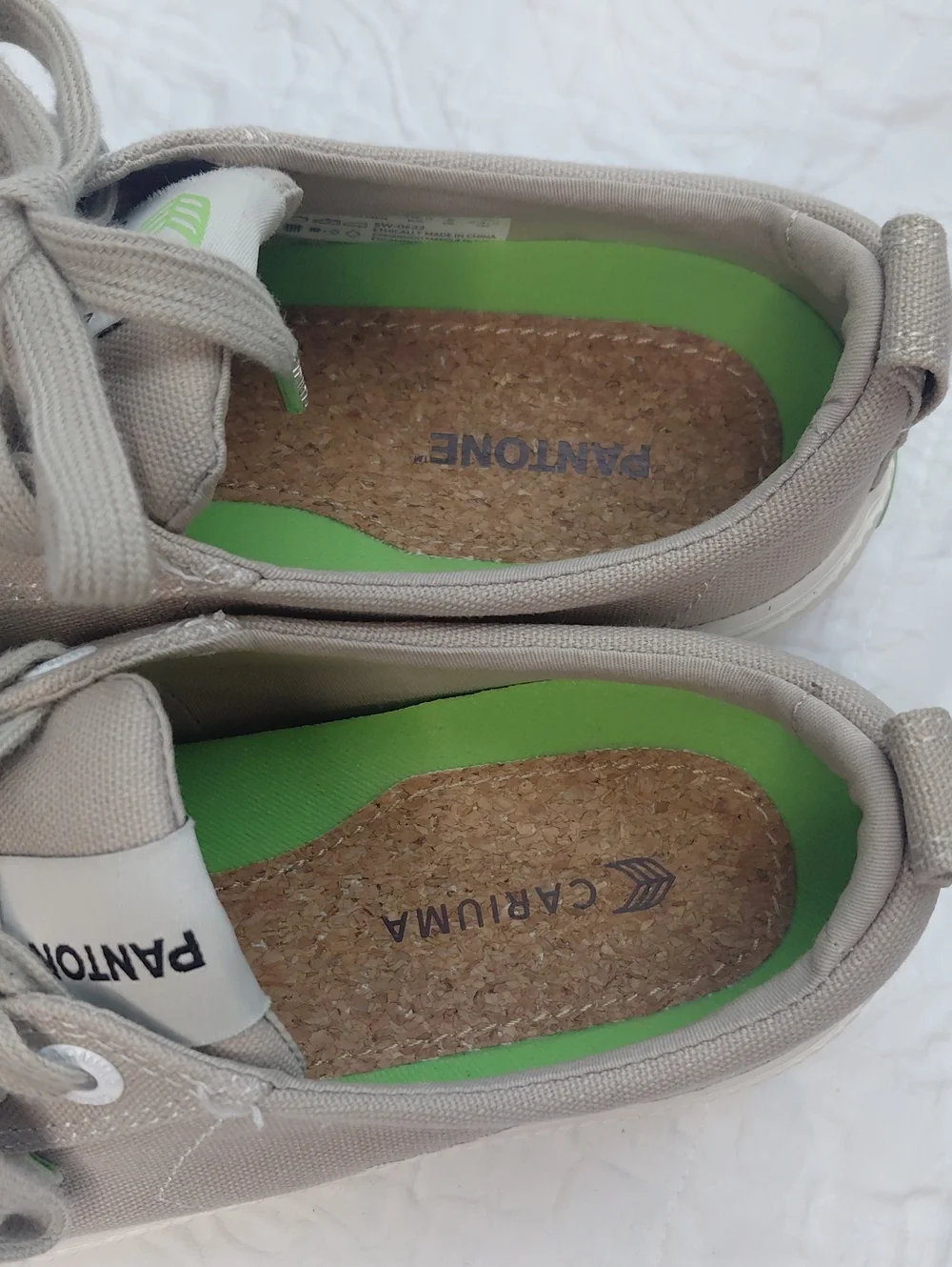 Cariuma pantone canvas